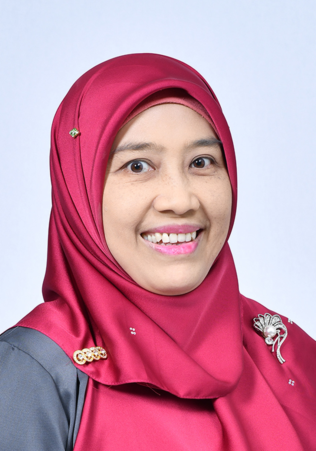 Prof. Ts. Dr. Zuriati Ahmad Zukarnain